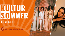 Kultursommer Lüneburg